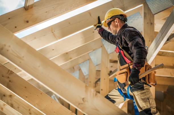 Best Roof Gutter Cleaning  in Tenaha, TX