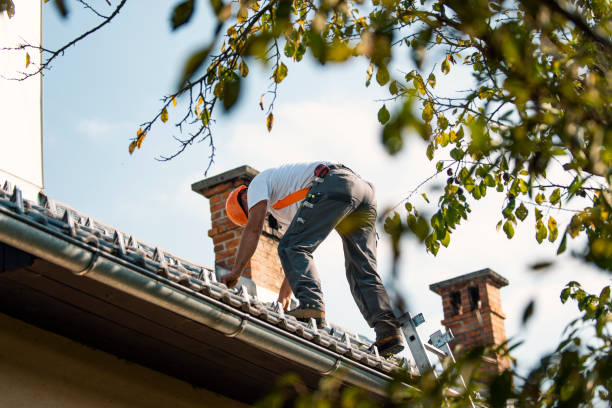 Quick and Trustworthy Emergency Roof Repair Services in Tenaha, TX