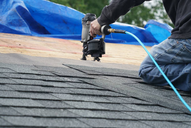 Best Metal Roofing Contractor  in Tenaha, TX